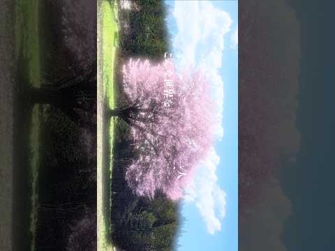 スパークル歌ってみた
