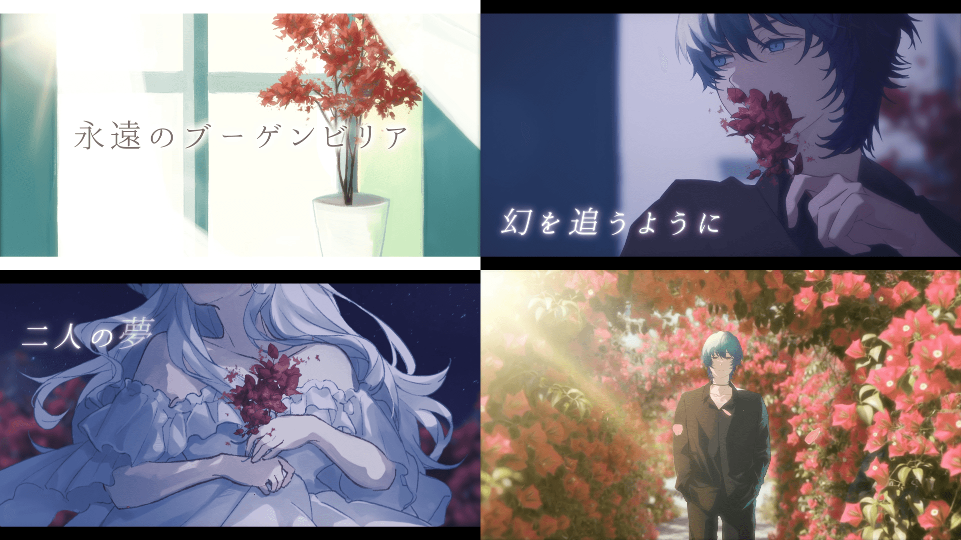 永遠のブーゲンビリア|オリジナルMV・プレミアム
